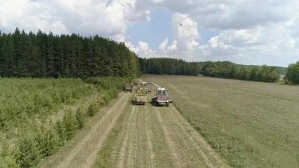 Aerial View Two Combines Harvesting Grass Field Harvesters Putting Haylage — Stock Video