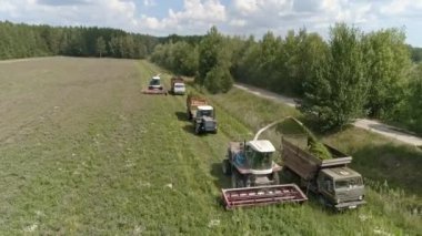 Çim tarlasında hasat yapan iki kombine hava görüntüsü. Hasatçılar samanı bir kamyon ve traktöre yerleştiriyor. Hasatçılar saman hasadını toplar. Ormanın yanında ve küçük çam ağaçları