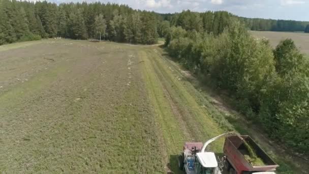 Luftaufnahme Von Zwei Mähdreschern Bei Der Ernte Auf Einem Rasenfeld — Stockvideo