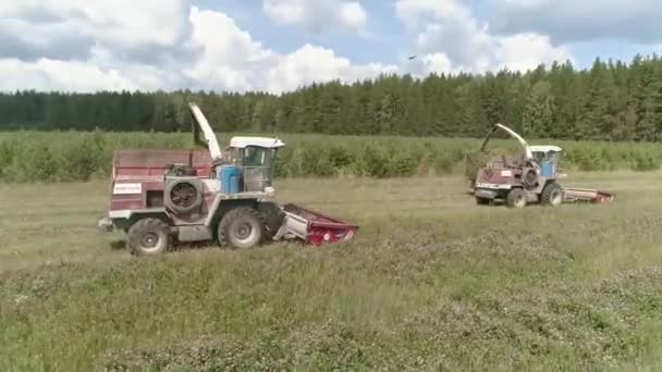 2つのドローンビュー草原で収穫を組み合わせています 収穫者はトラックに干し草を置いた 収穫者は干し草の収穫を集める 森と松の近く — ストック動画