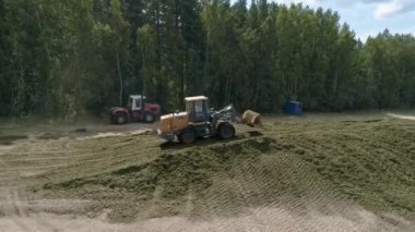 Traktörlerin insansız hava aracı görüntüsü, orman ve tarlanın yanındaki Silo Çukuru 'ndaki filizi tıkıyor. Hayvanlar için yem. Yaz güneşli bir gün