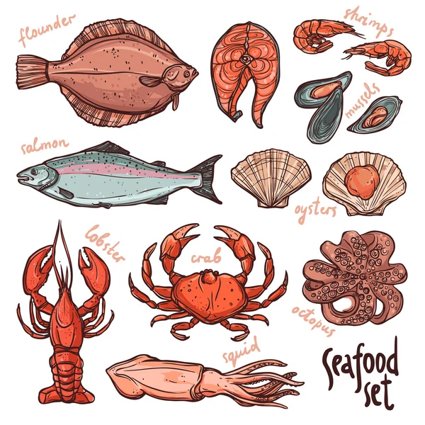 Hand drawn Seafood collection — Stock Illustration Hand drawn Seafood collection Vector Graphics