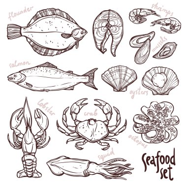 Sketch seafood collection