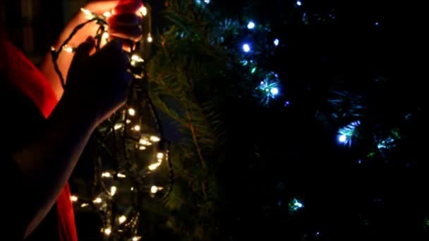 Beyaz Noel ışıkları bir Noel ağacına yerleştirilir. — Stok video