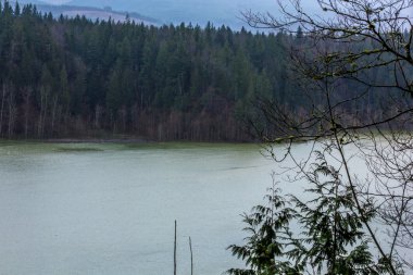 Ormandaki yükselen görülmemişlerdi 