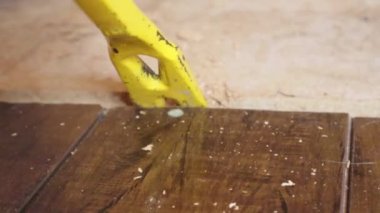 Sarı karga çubuğu eski çivileri alt döşemeden çıkarmak için çalışır