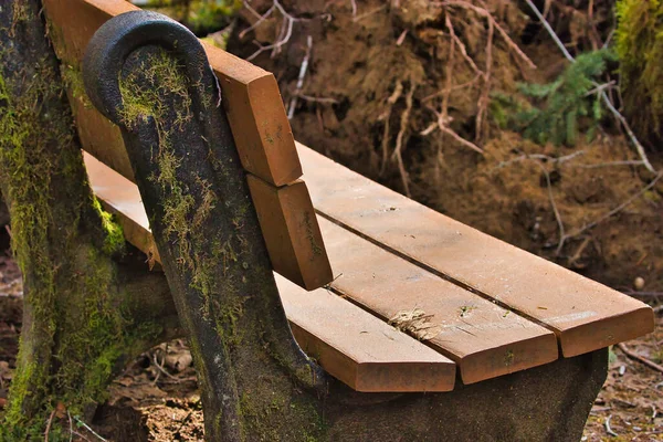 Old park bench in the forest covered in moss — Stock Photo, Image