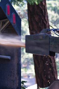 Uzuvları beslemek ya da odun öğütücüsünden devrilmiş bir ağaç.