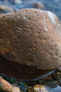 Nehrin kıyısındaki havuzda büyük bir taş var.