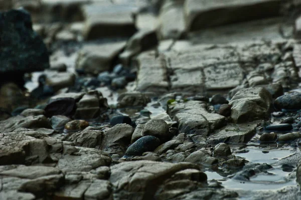 Grès et rochers au bord du Puget — Photo