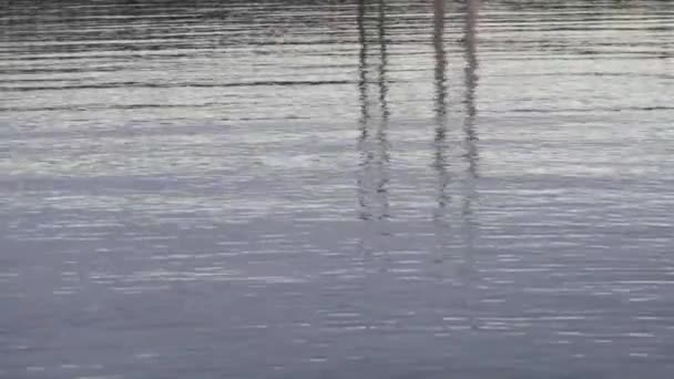 Reflet ondulé des étroits dans l'eau puget sonore — Video