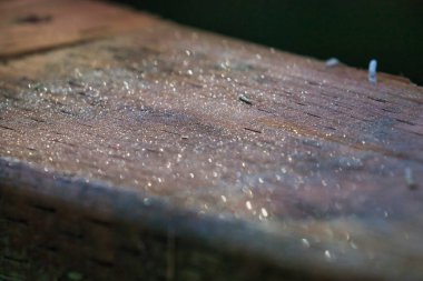 Yıpranmış ahşap tırabzan çiğ damlalarıyla kaplı.