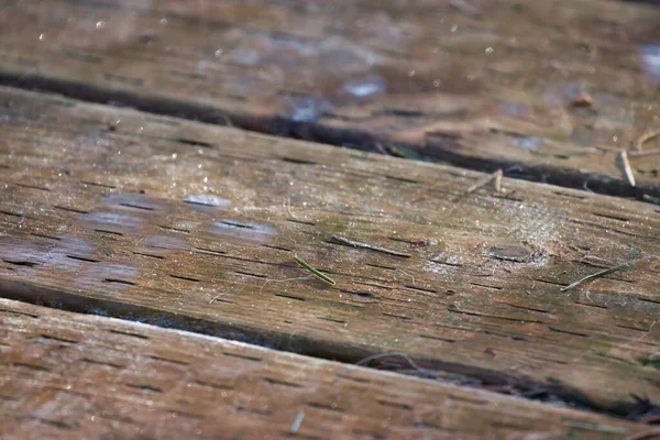 Close up of wooden planks covered in dust, fur, and pollen — Stock Photo, Image