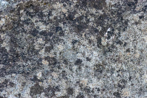 Grau und schwarz gesprenkelt Stein Textur — Stockfoto