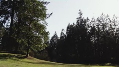 Parlak bir günde, yerel bir parkta rüzgarlı bir öğleden sonra.