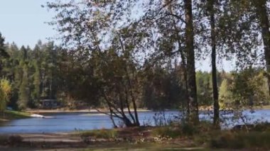 Rüzgâr, düşen yaprak döken ağaçların arasından esiyor.