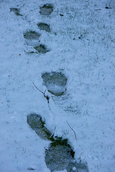 Stopy stopy po mělkém sněhu na trávníku — Stock fotografie