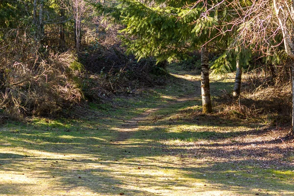 Ein breiter Schotterweg in fleckigem Licht in Richtung Wanderweg — Stockfoto