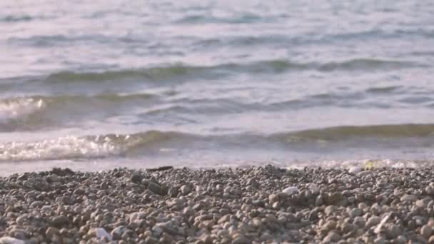 Slow motion getijden komen in kustlijn in Washington — Stockvideo