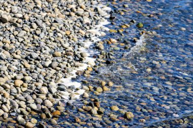 Sahildeki sığ suyun altındaki kayalar.