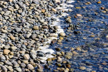 Sahildeki sığ suyun altındaki kayalar.