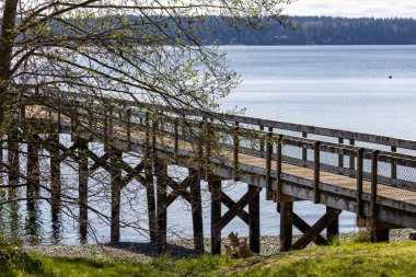 Aydınlık bir günde Puget 'ın sesini dinle.