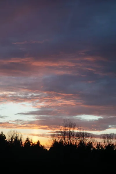 Helder oranje en roze bewolkte zonsondergang boven bos — Stockfoto