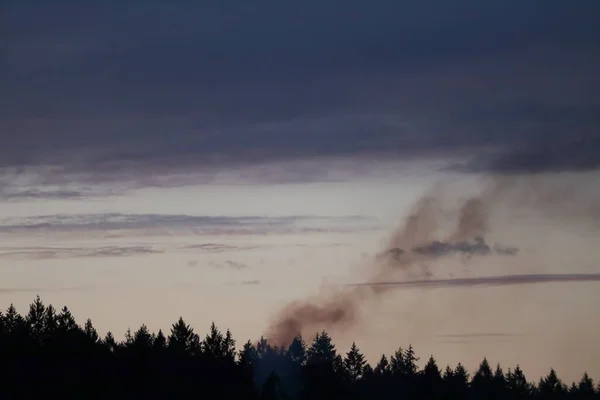 Небольшой столб дыма, поднимающийся из середины лесного полога — стоковое фото