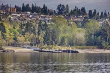 Puget Sound 'da küçük bir banliyö teknesi kalkışı