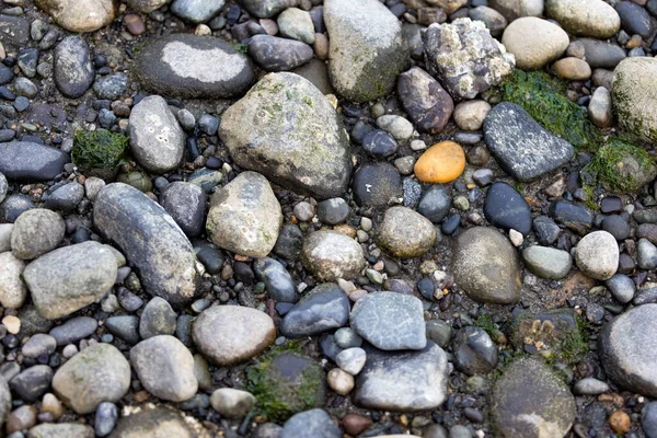 Flerfärgade stenar i sanden vid lågvatten — Stockfoto