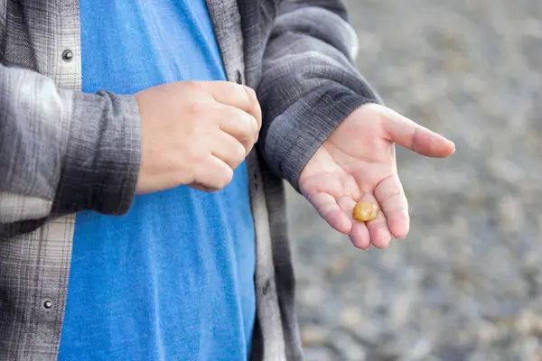 Mans mano tenendo pietra lucida tumbled trovato sulla costa di Washington Fotografia Stock