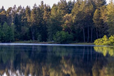 Koyu gölgeli ağaçlar karşı kıyıda