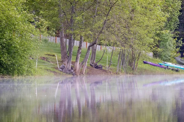 Light green trees reflecting on the banks of a lake — Stock Photo, Image