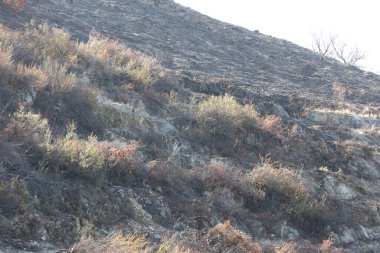 Şelale dağ eteklerinin engebeli çim yürüyüş arazisi