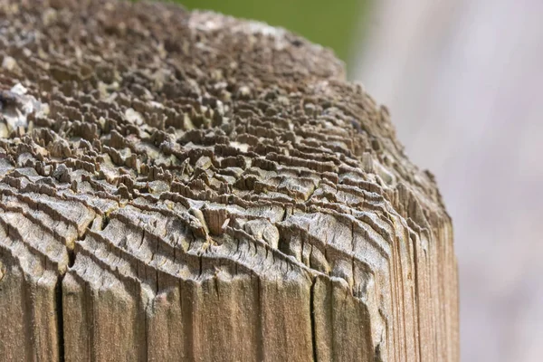 Vigas de madera unidas a través de postes de madera en un parque — Foto de Stock