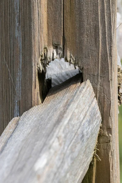 Деревянные балки, связанные между деревянными столбами в парке — стоковое фото