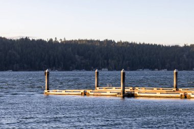 Mahalle Kanalı Washington 'a yanaşın.