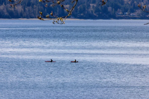 Un par de kayaks en el sonido del puget — Foto de Stock