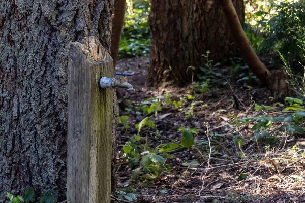 Vieux robinet d'eau attelé à un poteau en bois — Photo