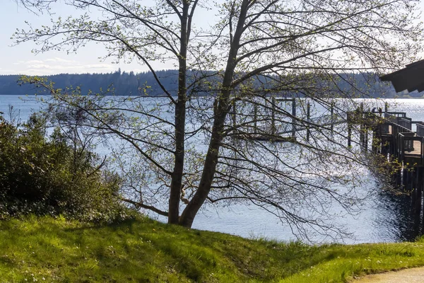 Vista para o oceano a partir da área mantida do parque florestal — Fotografia de Stock