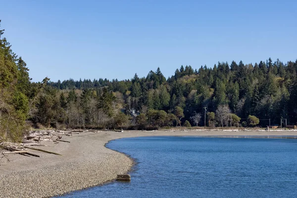 Litoral ao longo capuz canal washington com floresta — Fotografia de Stock