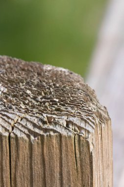 Tahta kirişler parktaki tahta direklere bağlanmış.