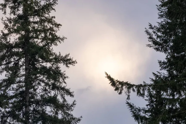 Sol através de nuvens e nevoeiro brilhando rosa e azul — Fotografia de Stock