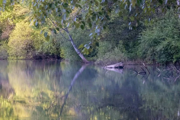 Dicker bewaldeter Damm eines Sees, der die Bäume reflektiert — Stockfoto