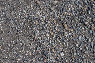 Sahilde çeşitli boylarda ve renklerde kayalar.