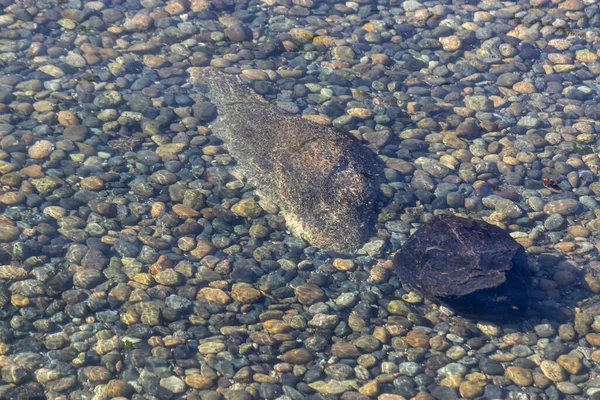 Felsen in verschiedenen Größen und Farben unter seichtem Wasser — Stockfoto