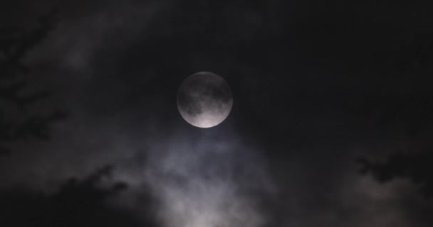 Яркая белая полная луна за темными черными облаками — стоковое видео