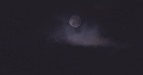 Dikke donkere wolken voor de volle maan — Stockvideo