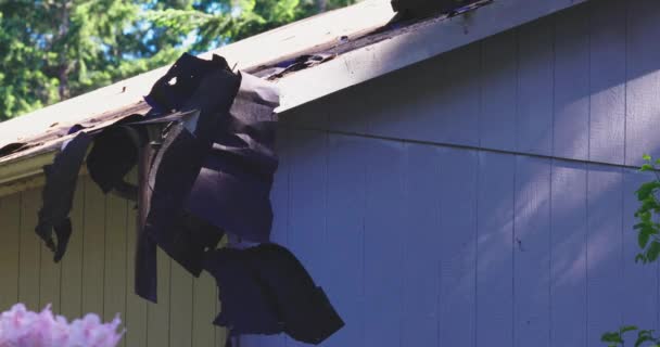 Gammalt papper som tas bort från ett tak — Stockvideo