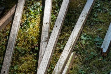 Yazın çimenlerde yatan eski çizik tahtalar